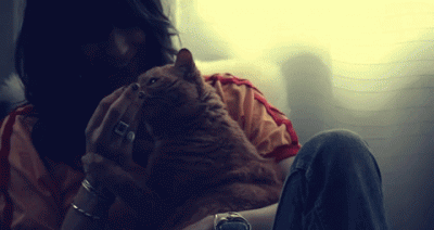 Nicki Bluhm Premiers “To Rise You Gotta Fall” Music Video on Nashville Scene